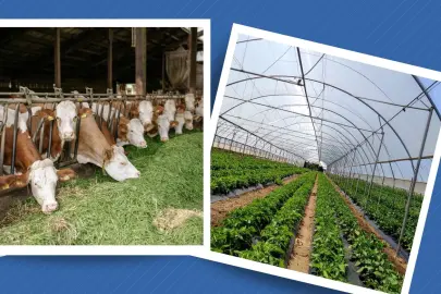 Kırsal Kalkınma Yatırım Programı başvuruları 3 Temmuz’a uzatıldı