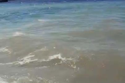 Bodrum'da deniz kirliliği; soruşturma başlatıldı