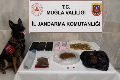 Evinde 188 gram bonzai ile yakalanınca tutuklandı