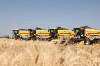 Hububat hasadından Muş ekonomisine 11 milyar liralık katkı bekleniyor