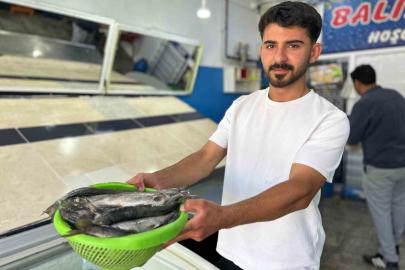 İnci kefali tezgâhlardaki yerini aldı