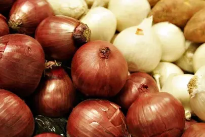 Kuru soğanda gümrük geçici yüzde 5’e indirildi