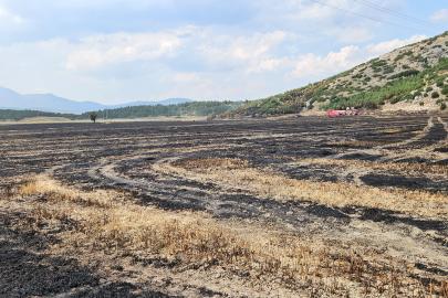 Ormana sıçrayan arazi yangını söndürüldü