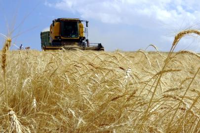Tarımsal girdi fiyat endeksi mayısta arttı