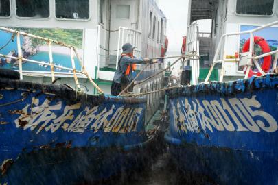 Dolphin Tayfunu Japonya'yı vurdu, Çin limanları kapattı